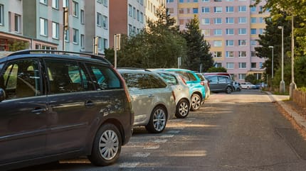 Hund tagelang in Kofferraum gesperrt