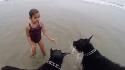 Hund und Kind am Strand
