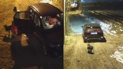 Hund wird aus Auto geworfen