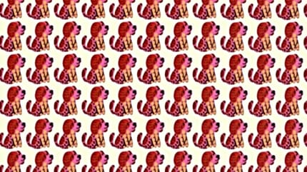 łamigłówka z psami