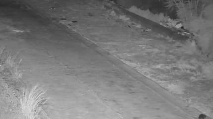 Image de surveillance