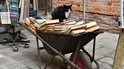 italiaanse kattennamen