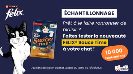 Jeu Felix Sauce