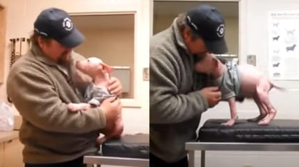 Joey Wagner spotyka Mojo po leczeniu psa