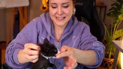 Kätzchen beisst Streamerin Mowky