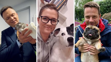 Kandydaci 2025 i ich zwierzęta