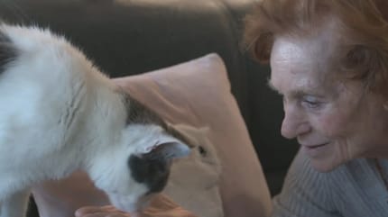 Kattenkamer in woonzorgcentrum Amersfoort groot succes