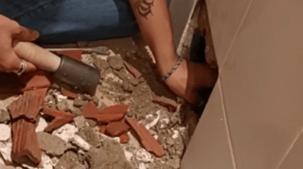 Chat disparu pendant la rénovation