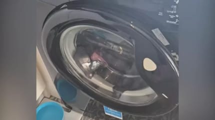 "Katze" in der Waschmaschine