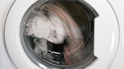 Katze überlebt kompletten Waschgang