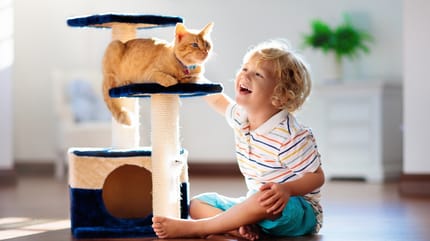 Kinderfreundliche Katzen