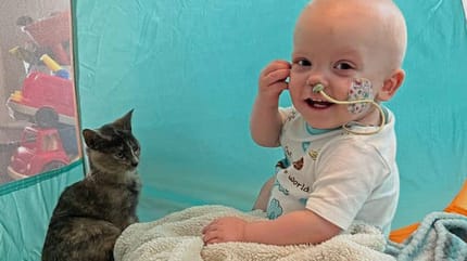 Kleinkind und Katze schauen aus dem Fenster