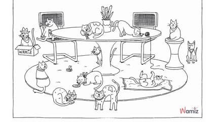 Dibujo de gatos para colorear