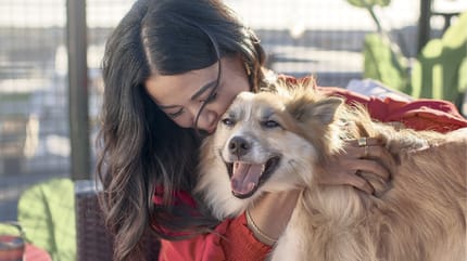 La médiation animale au sein d'une école