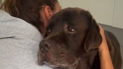 lara-alvarez-abraza-a-su-perro-choco