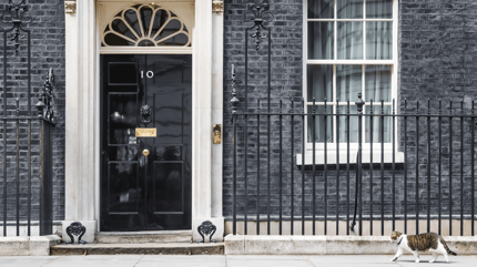 Larry the Downing St cat: Grey and white tabby Larry walking up to 10 Downing Street