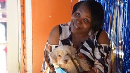 Le chien perdu il y a 11 ans