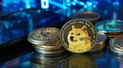 Le Shiba Inu représentant le Dogecoin