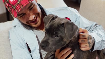 Liam Payne mit Hund Stand