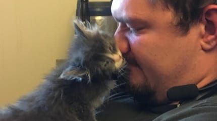 premier chaton couple