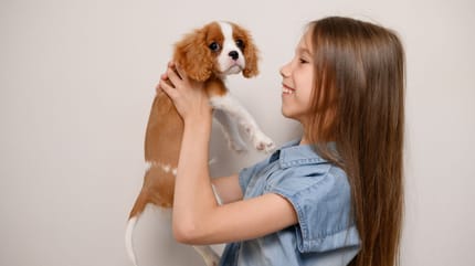 Manipuler un chiot