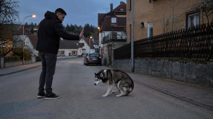 Mann bedroht verängstigten Hund