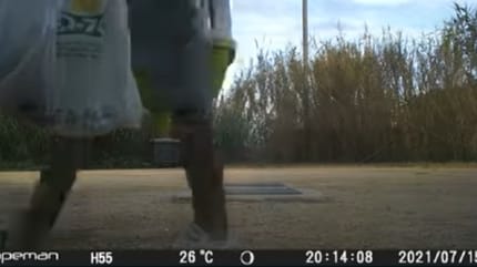 Mężczyzna porzuca koty