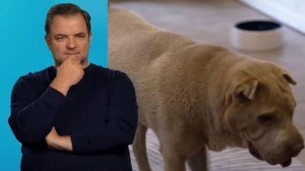 Martin Rütter ist von Daphnes Schicksal entsetzt