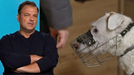 Martin Rütter und Tierheimhund Elvis