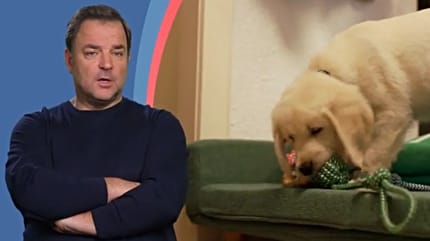 Martin Rütter und Welpe Leila