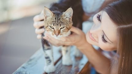 chat maîtresse vacances