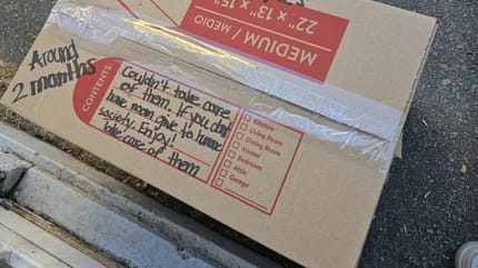 Mysterieuze doos voor het dierenasiel