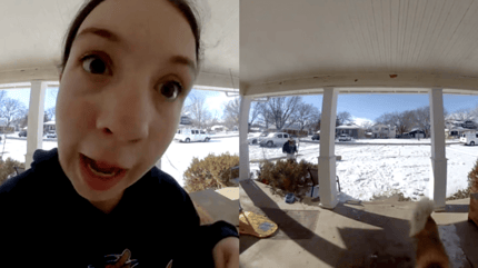 Neighbour through ring doorbell looking for dog