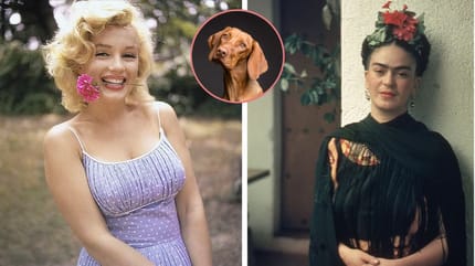 nomi famosi per cani femmine