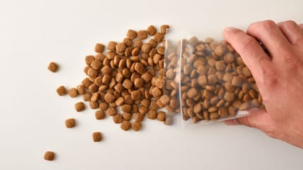 nourriture pour chien obésité