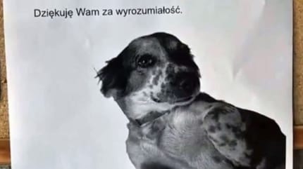 Ogłoszenie dla sąsiadów o psie z lękiem separacyjnym