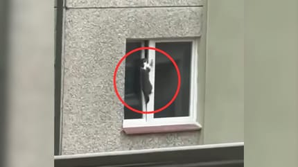 Okno w bloku uchylone