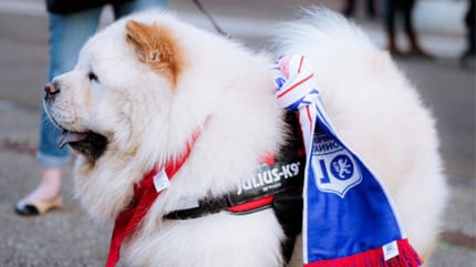 Olympique lyonnais
