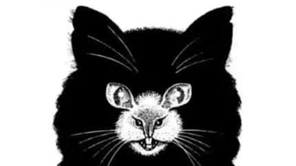 Optische Illusion Katze Maus