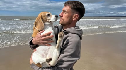 Oud-Arsenal ster wanhoop nabij nadat hond Halo spoorloos is