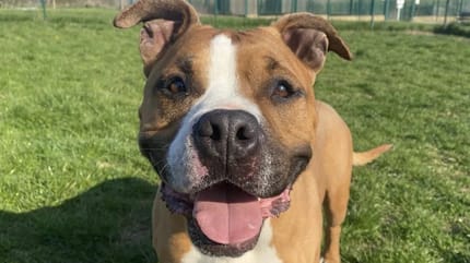 Paco attend sa famille