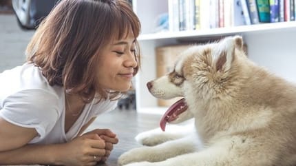 Pourquoi faut-il parler à son chien ?