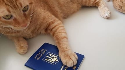 passeport pour chat