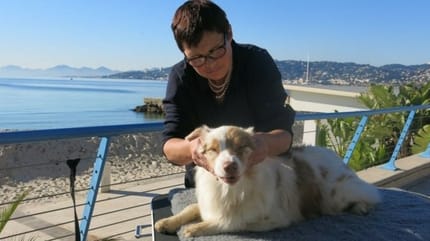 Pauline Arnt massage canin