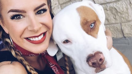 Haushaltsunfall mit Hund