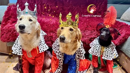 Perros y gatos vestidos de reyes magos