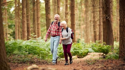 personnes âgées marcheurs