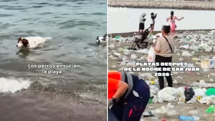 playas-tras-noche-san-juan-prohibido-perros