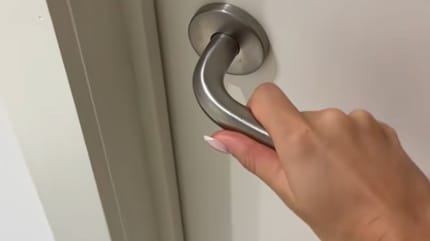 Poignée de porte