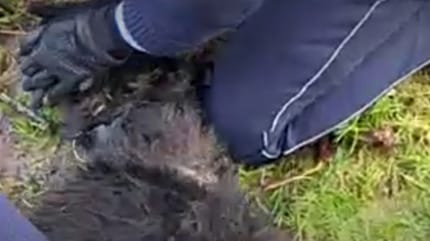 Polizist reanimiert Hund